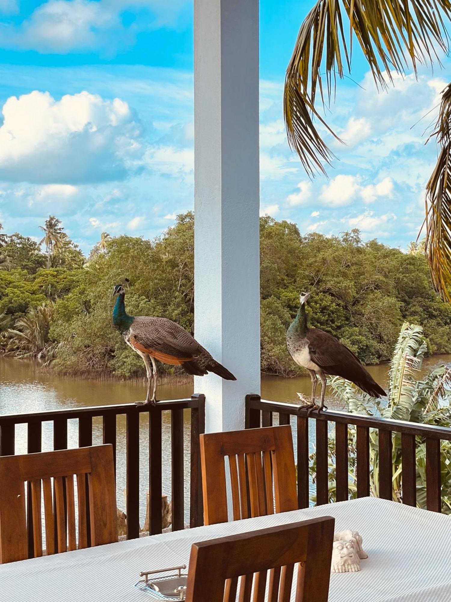 Riverwood Villa Weligama Kültér fotó